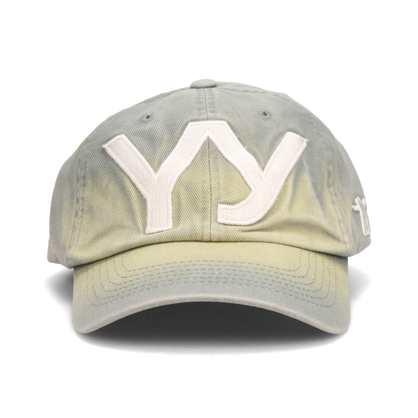 YY GRADIENT BALL CAP / GREEN