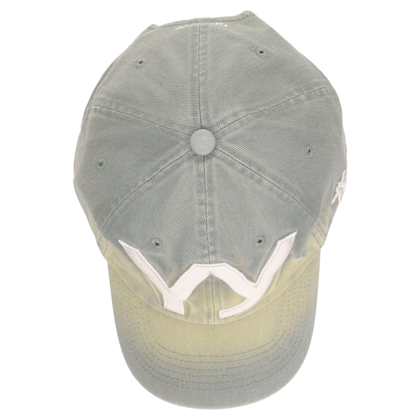 YY GRADIENT BALL CAP / GREEN