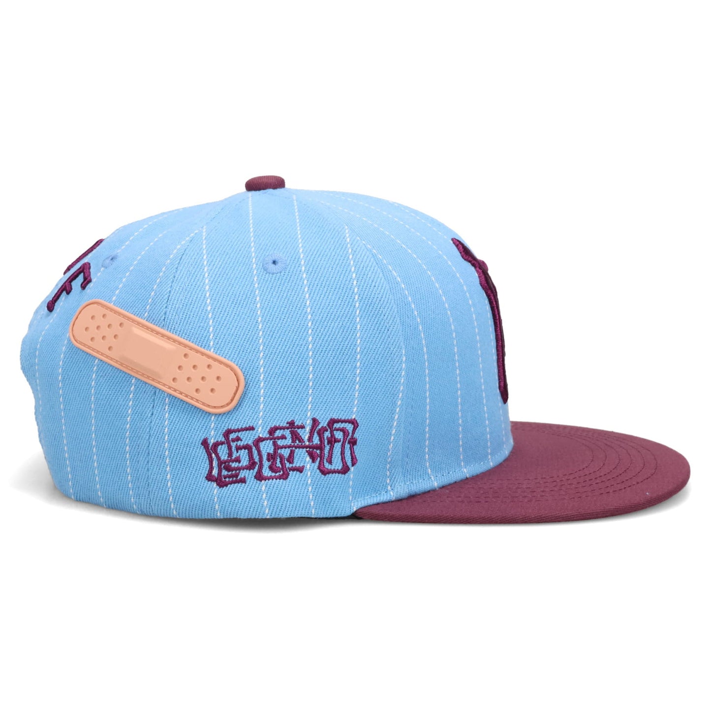 PINSTRIPE BASEBALL HAT / BLUE/PURPLE