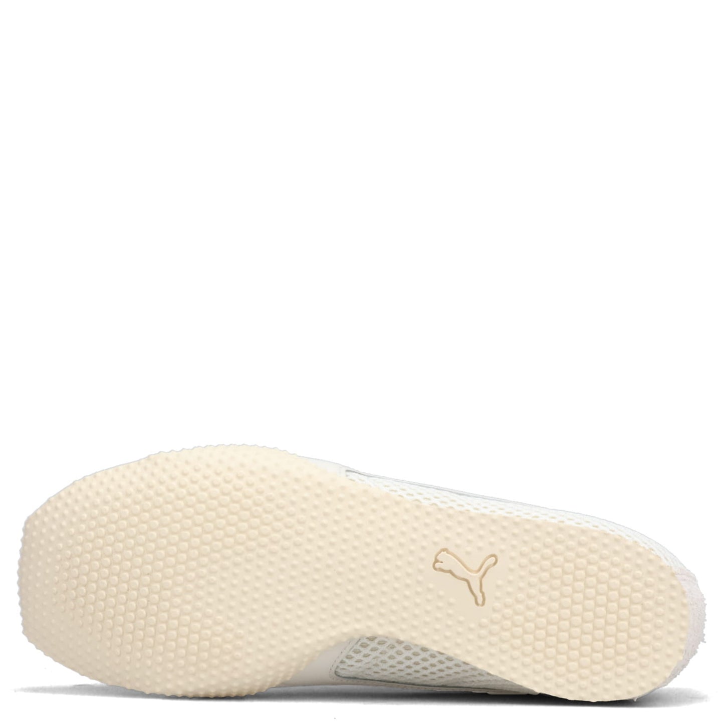 PUMA x GUIZIO H-STREET GUIZIO OP1 / 01:WARM WHITE