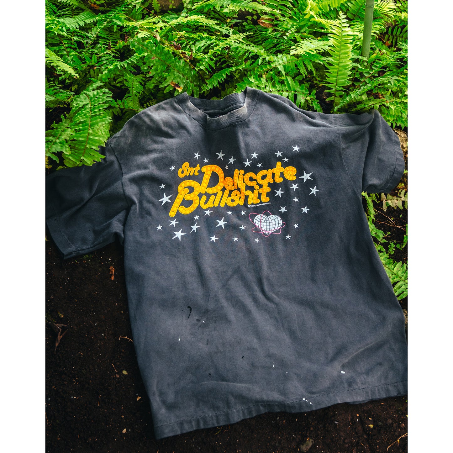 SS TEE/DELICATE BULLSHIT / BLACK