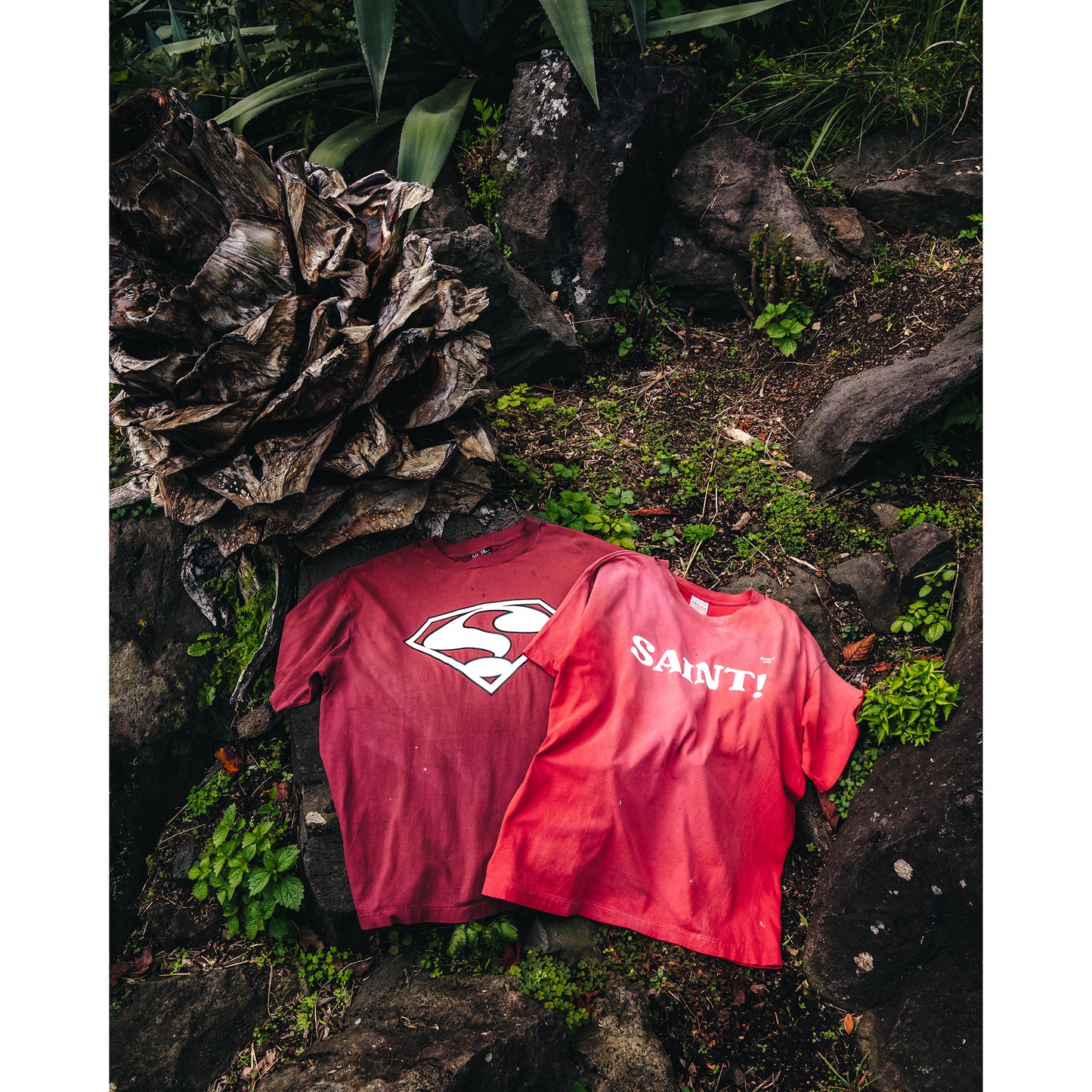 SS TEE/？ / BURGUNDY