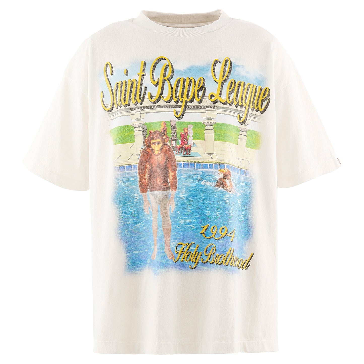 SAINT Mxxxxxx x BAPE® BAPE_SS T-SHIRT/POOL / WHITE