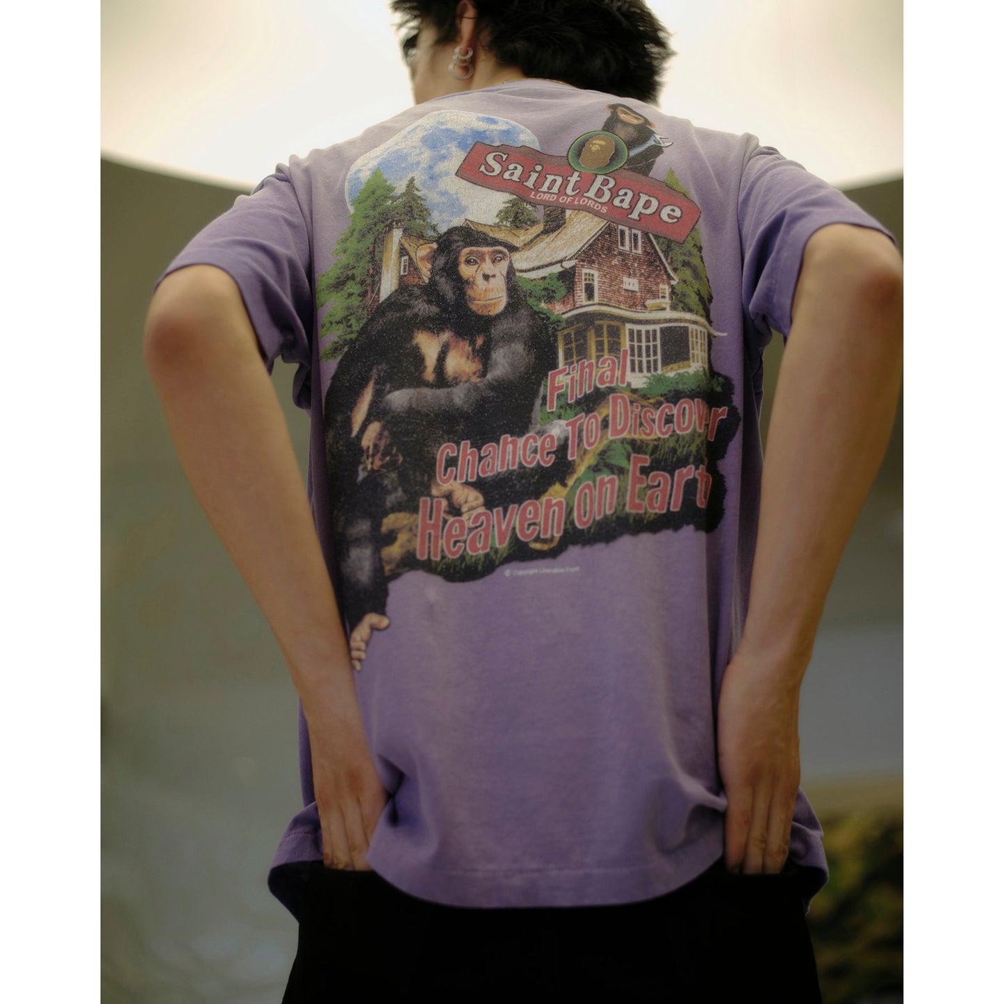SAINT Mxxxxxx x BAPE® BAPE_SS T-SHIRT/HOUSE / PURPLE