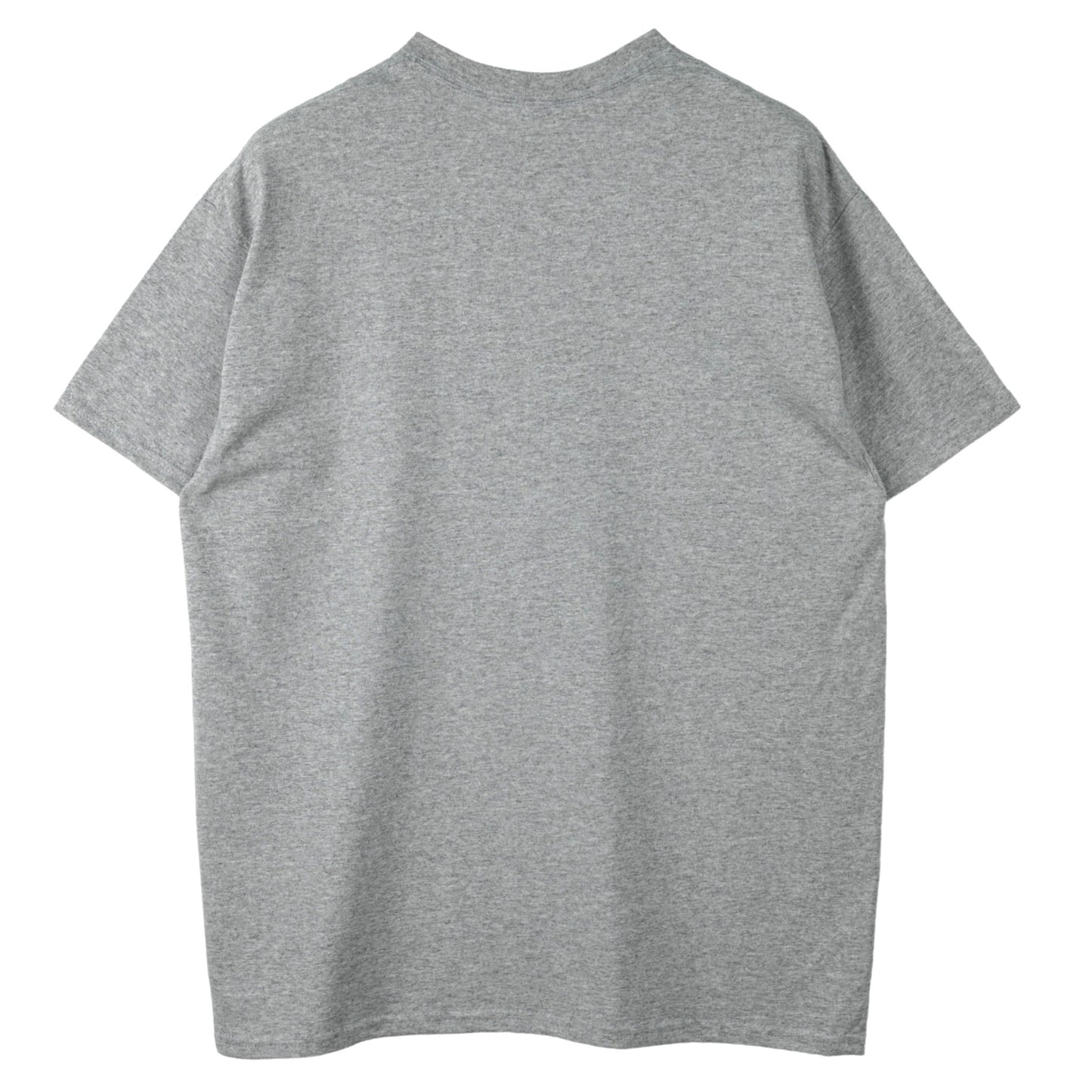 SLOGAN T-SHIRT / GRAY