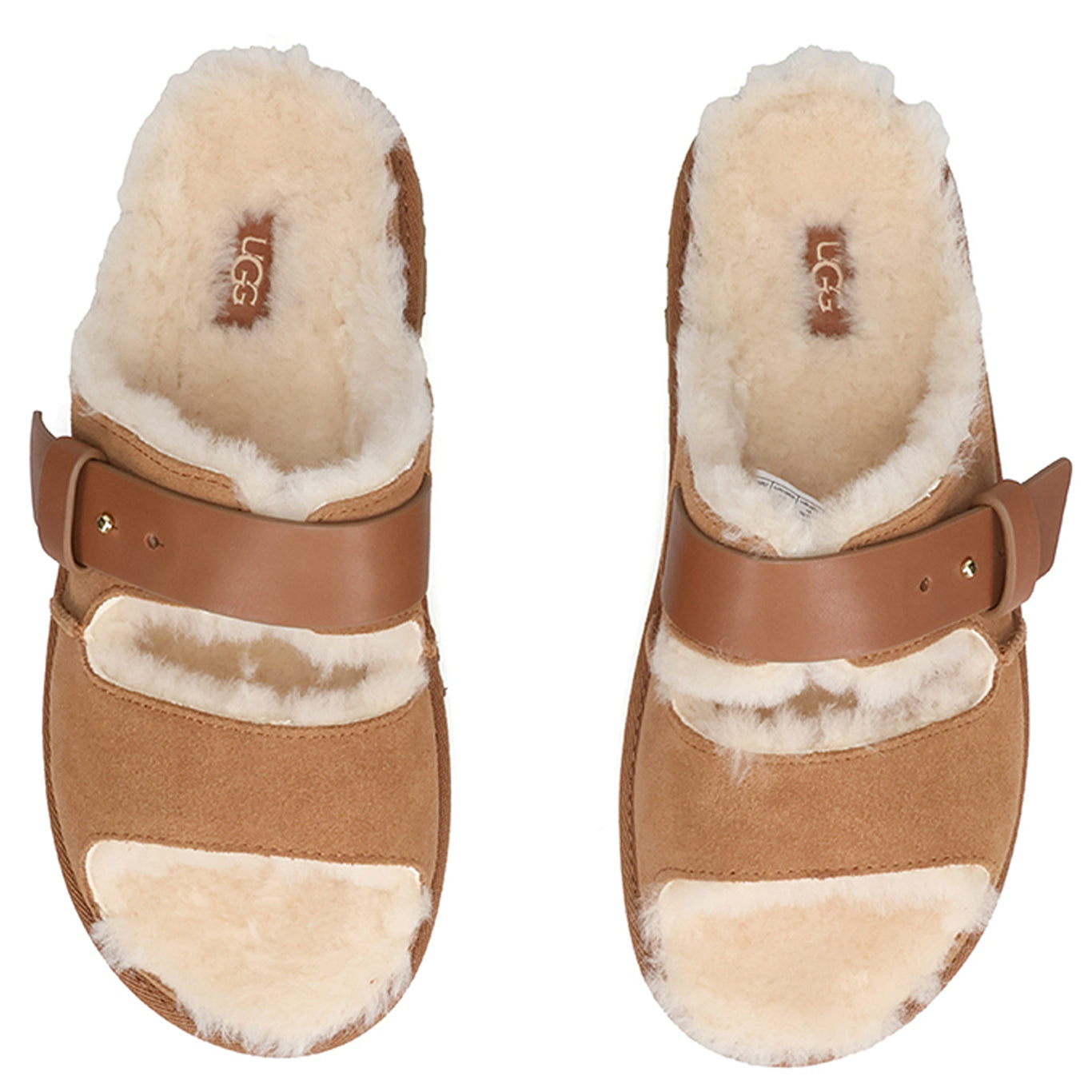 W GREENPORT STRAP SLIDE / CHESTNUT