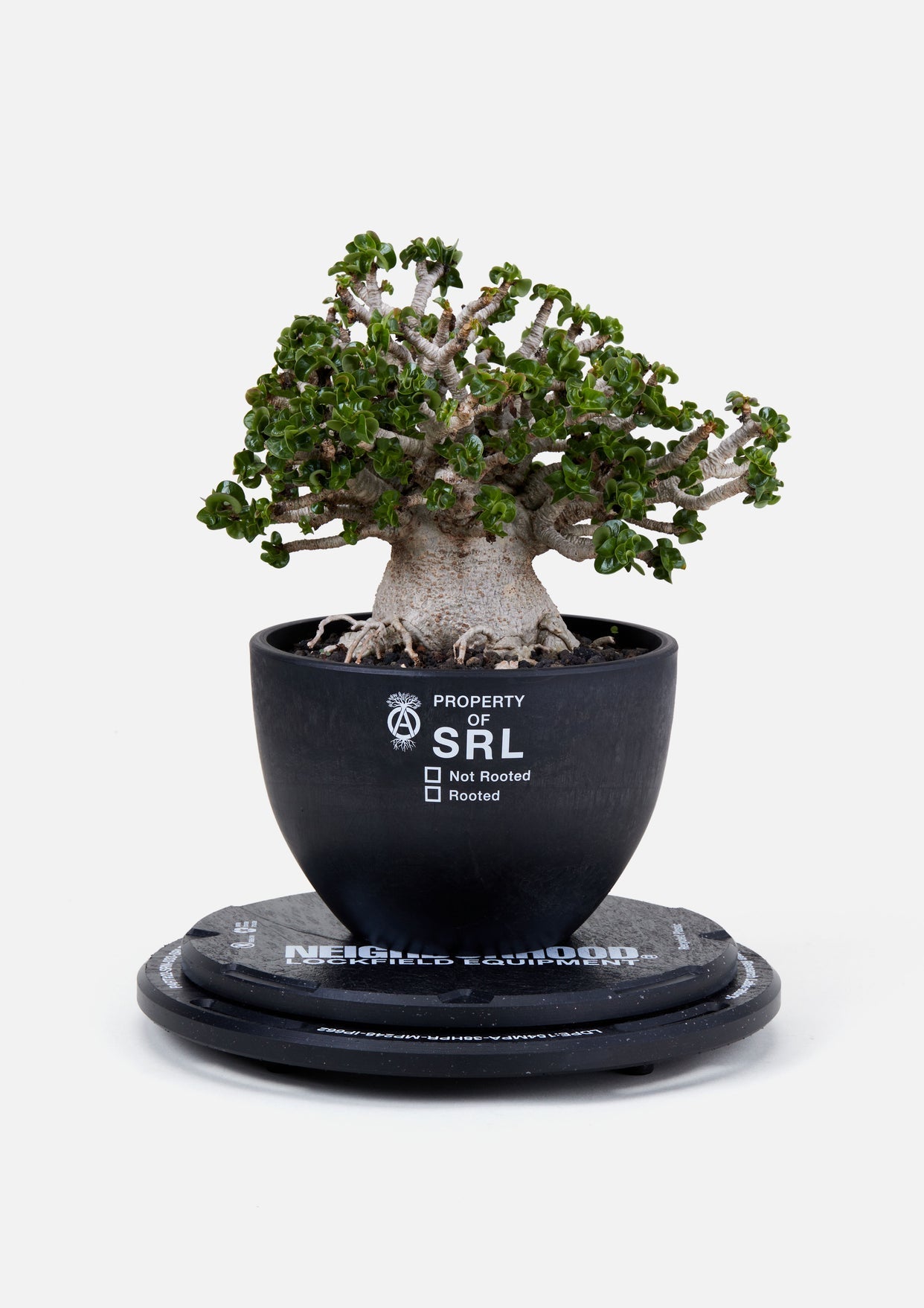 NH X LFE X BALLISTICS . ROTARY STAND & SBS KIT / BLACK