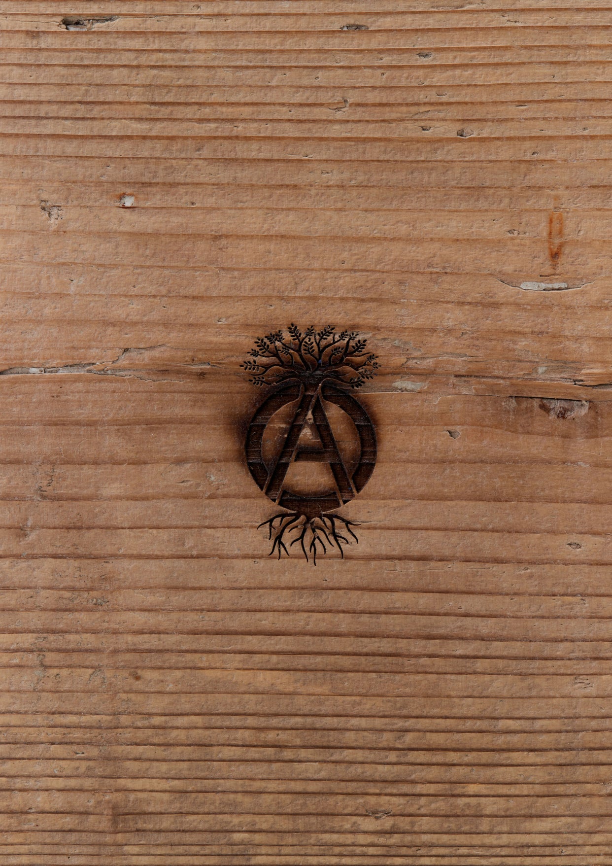 SRL X WARLOCK . BOARD-8 / BROWN