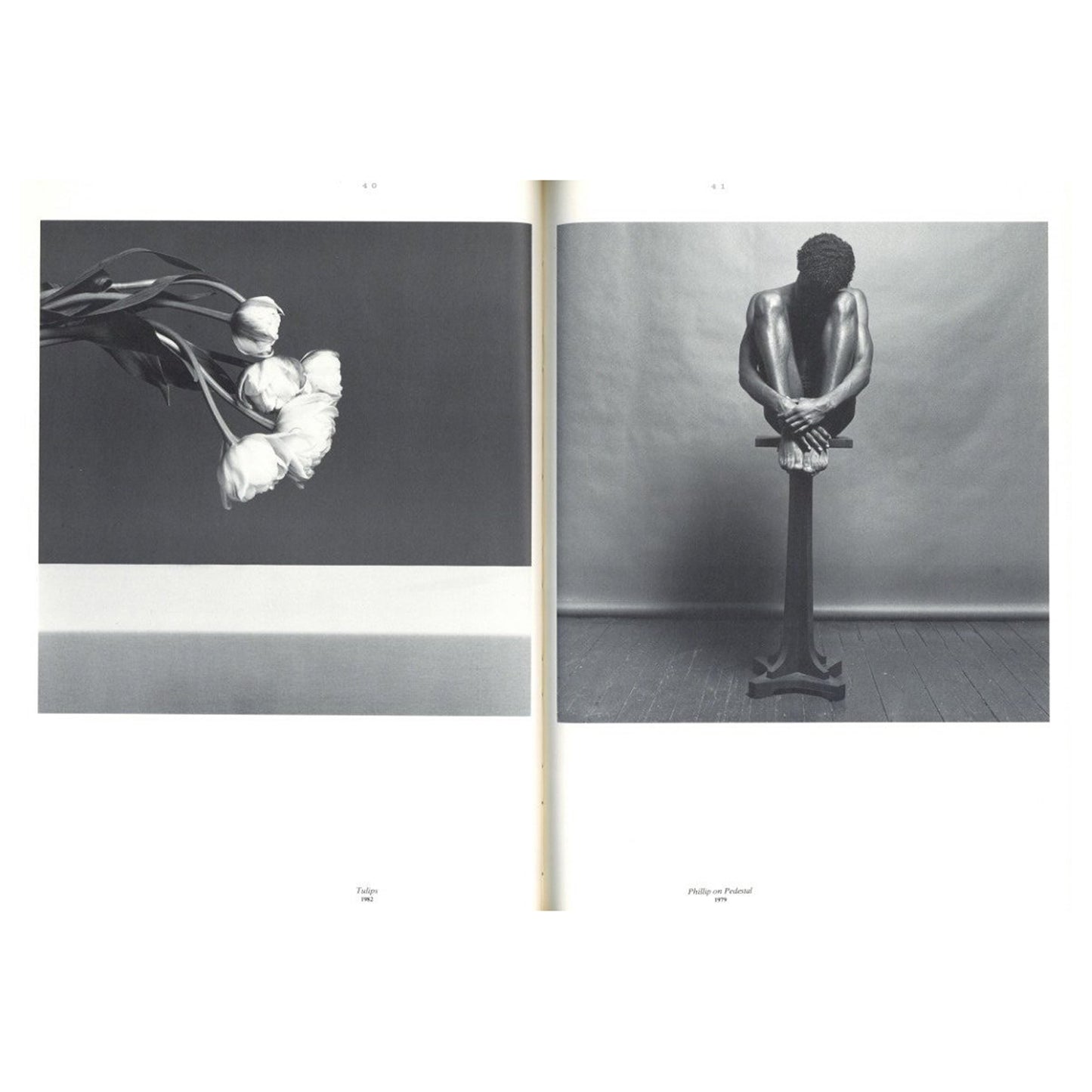 ROBERT MAPPLETHORPE 1970-1983 / Robert Mapplethorpe