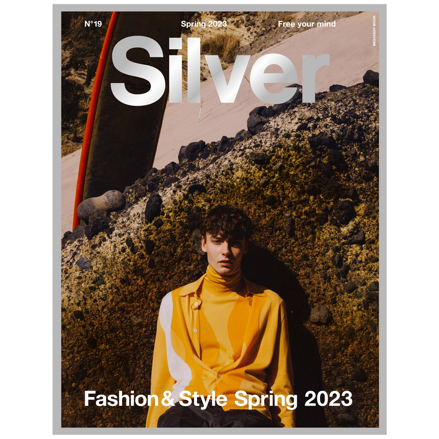 Silver Vol 19